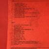RAMONES " TRIPLE J LIVE AT THE WIRELESS " 1 LP, EDICIÓN LIMITADA - Image 5
