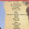 NIRVANA " TAKE YOUR TIME, HURRY UP " 2 LP. ED. LIMITADA. CONCIERTO DE MADRID '92.VINILOS DE COLOR - Imagen 4