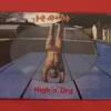 DEF LEPPARD " HIGH 'N' DRY " 1 LP PICTURE DISC. ED. LIMITADA