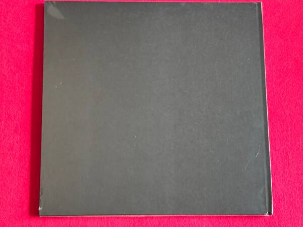 THE PRETTY RECKLESS " GOING TO HELL " 1 LP + 1 BOOK LIMITED DELUXE EDITION 10TH ANNIVERSARY. COLOURED VINYL - Image 3