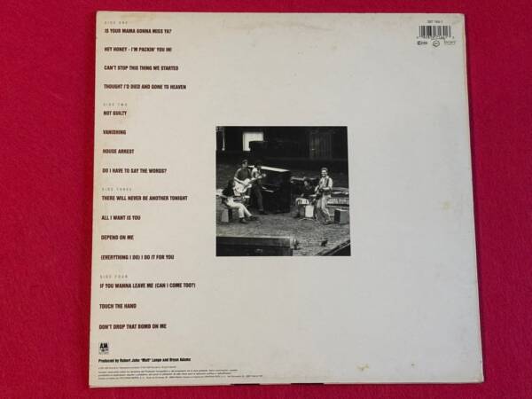 BRYAN ADAMS " WAKING UP THE NEIGHBOURS " 2 LP. 1ª ED. ESPAÑOLA. MUY BUEN ESTADO - Imagen 6