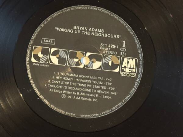 BRYAN ADAMS " WAKING UP THE NEIGHBOURS " 2 LP. 1ª ED. ESPAÑOLA. MUY BUEN ESTADO - Imagen 13