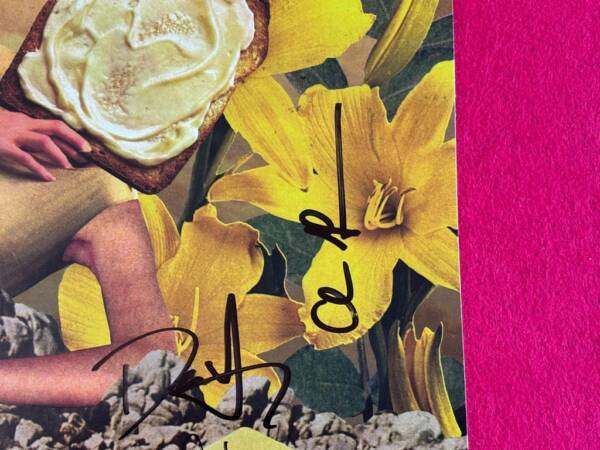 COUNTING CROWS " BUTTER MIRACLE: THE COMPLETE SWEETS! " 1 LP. FIRMADO!!! - Imagen 5