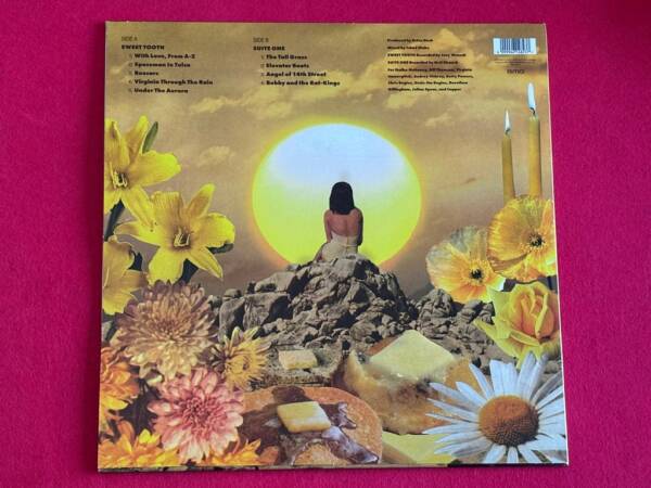 COUNTING CROWS " BUTTER MIRACLE: THE COMPLETE SWEETS! " 1 LP. FIRMADO!!! - Imagen 6