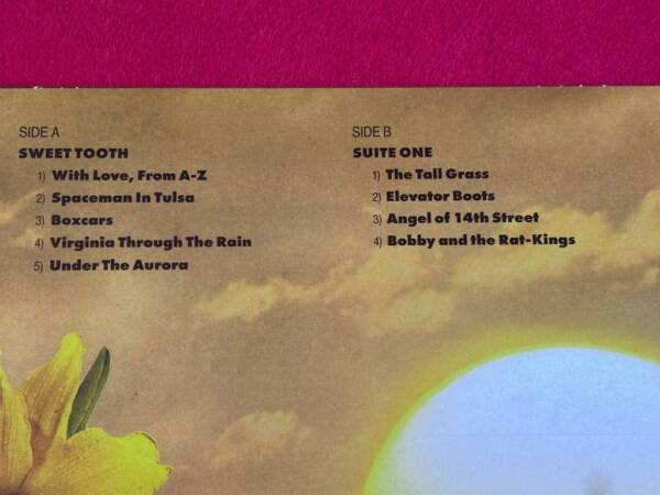 COUNTING CROWS " BUTTER MIRACLE: THE COMPLETE SWEETS! " 1 LP. FIRMADO!!! - Imagen 7