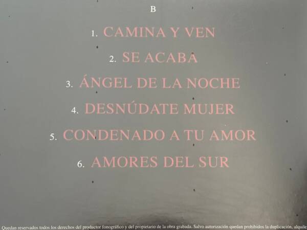 DAVID BISBAL " BULERIA " 1 LP. ED. LIMITADA 20 ANIVERSARIO. VINILO COLOR. - Imagen 5